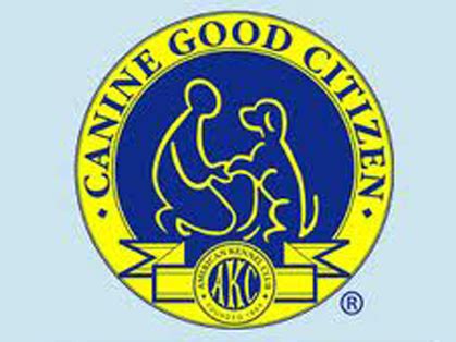 It has been recognized by the AKC since 